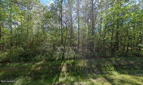 0 Laural Street, Bay Saint Louis, MS 39520