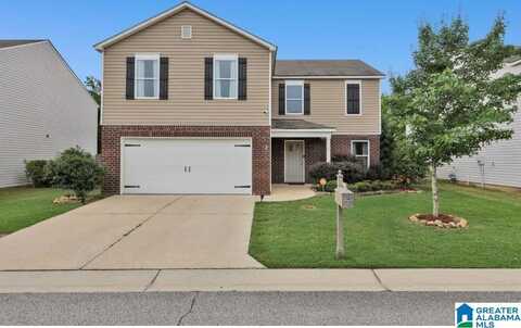 270 CHESSER RESERVE DRIVE, CHELSEA, AL 35043