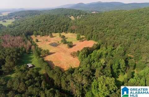0 STONERIDGE TRAIL, ANNISTON, AL 36207