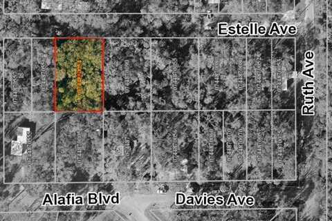 931 ESTELLE AVENUE, BRANDON, FL 33511
