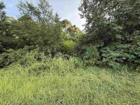 00 Moountain Pine, Hot Springs, AR 71913