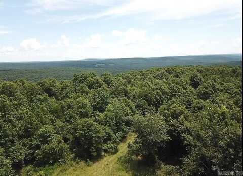 Sunnyland Road, Mountain View, AR 72560