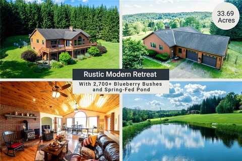 155 Hall Road, Afton, NY 13730