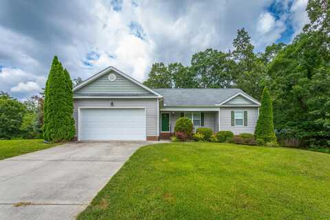 7360 Tiercel Drive, Ooltewah, TN 37363