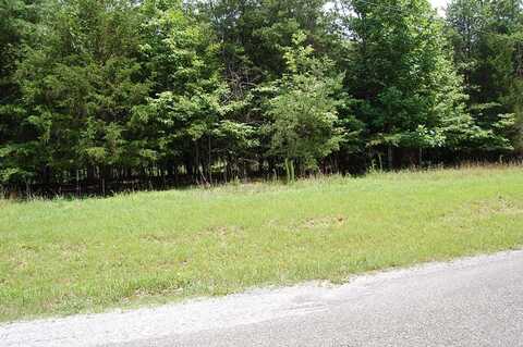 36 Stone Creek Trail, Dunlap, TN 37327