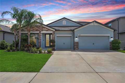 11421 CARLTON FIELDS DRIVE, RIVERVIEW, FL 33579