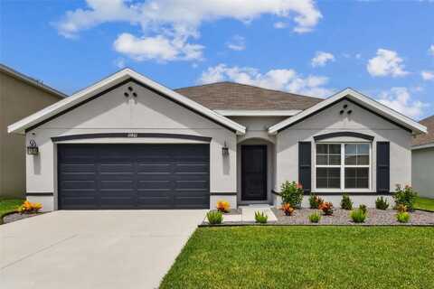 11861 DOWNY BIRCH DRIVE, RIVERVIEW, FL 33569