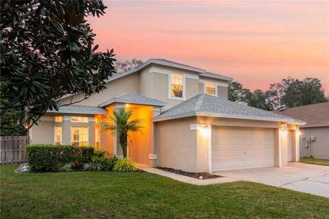 11107 INDIAN OAKS DRIVE, TAMPA, FL 33625