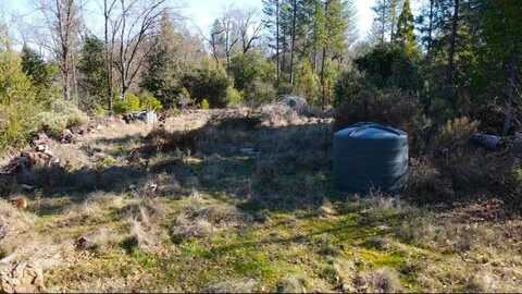 19760 Highway 26, West Point, CA 95255