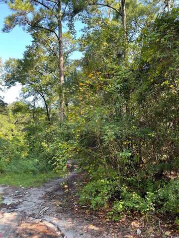 TBD Bellamy Dr., Little River, SC 29566