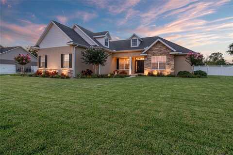 22441 PANTHER RUN COURT, LAND O LAKES, FL 34639