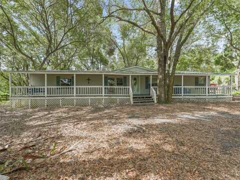 17070 SE 173RD TERRACE ROAD, WEIRSDALE, FL 32195