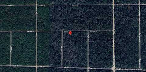 JAMES STREET, HASTINGS, FL 32145