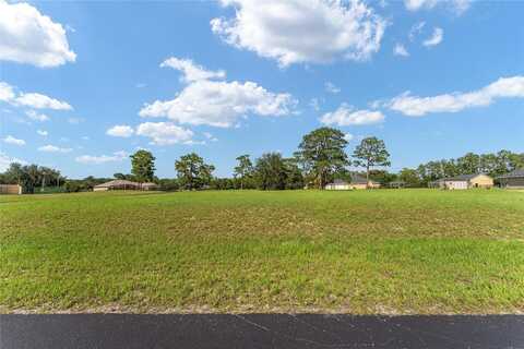 NE 66TH ST, SILVER SPRINGS, FL 34488