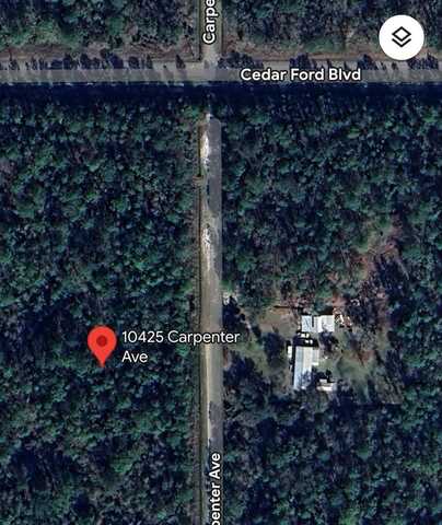 10425 CARPENTER AVENUE, HASTINGS, FL 32145