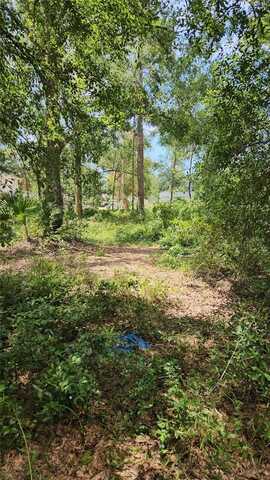 7624 ANNO STREET, TAMPA, FL 33625