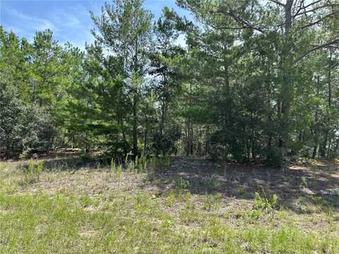 6202 N MARINER TERRACE, CITRUS SPRINGS, FL 34433