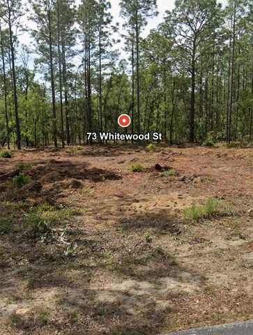73 WHITEWOOD STREET, HOMOSASSA, FL 34446
