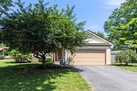 7328 San Bonita Drive, Columbus, OH 43235