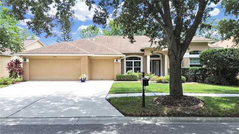 19024 DOVE CREEK DRIVE, TAMPA, FL 33647