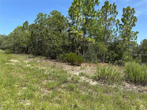 3803 W KEENE LANE, DUNNELLON, FL 34433