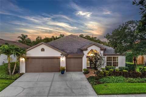 10231 MILLPORT DRIVE, TAMPA, FL 33626