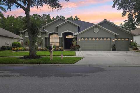 19410 FRENCH LACE DRIVE, LUTZ, FL 33558