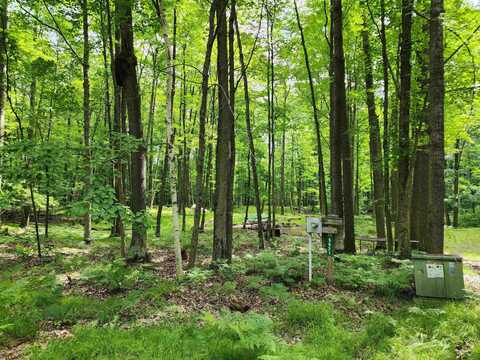 Lot 961 Clover, Farwell, MI 48622
