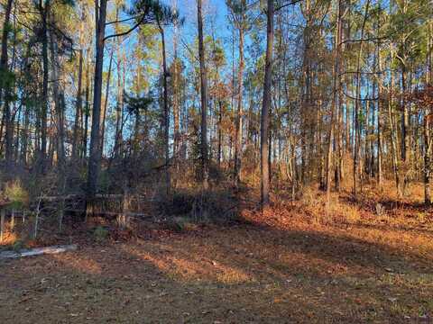 0 N Oak Ridge Drive, Butler, GA 31006
