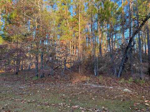 0 Oak Ridge Drive, Butler, GA 31006