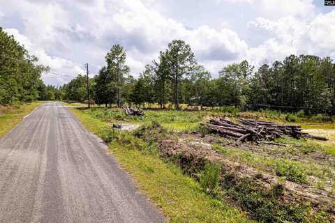 204 Doe Drive, Hopkins, SC 29061