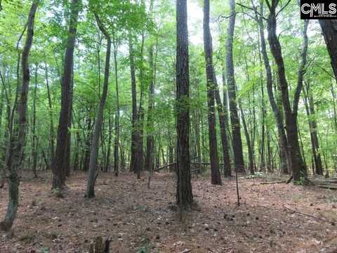 0 Park Road, Ridgeway, SC 29130