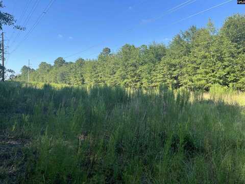 TBD Parkwood Avenue, North, SC 29112