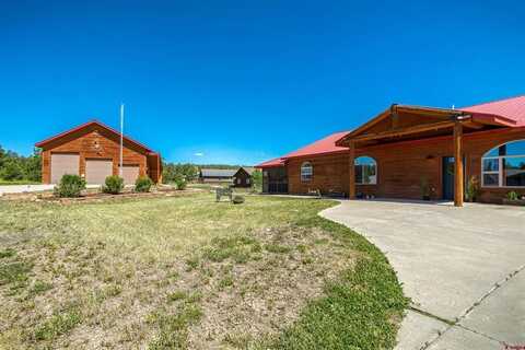 59 Rincon Ct, Pagosa Springs, CO 81147