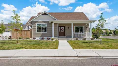 1228 Periwinkle Court, Fruita, CO 81521