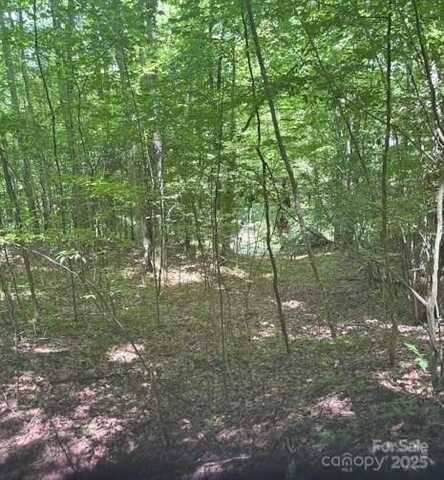 Macs Mountain Retreat Lane, Franklin, NC 28734