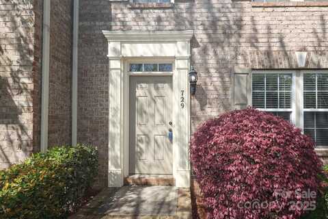 729 Naramore Street, Davidson, NC 28036