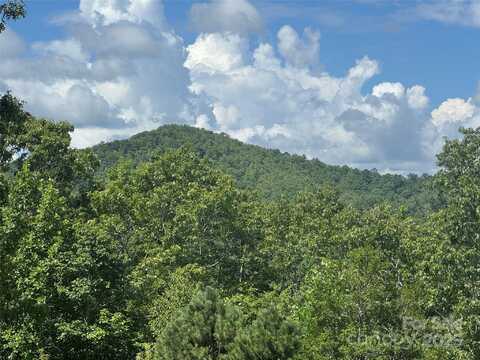 999 Ivy Lane, Pisgah Forest, NC 28768