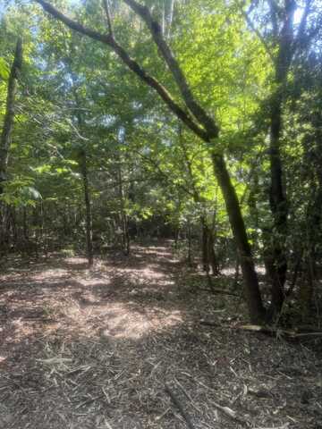 Hhf 1 Old Georgetown Road W, Westville, SC 29175