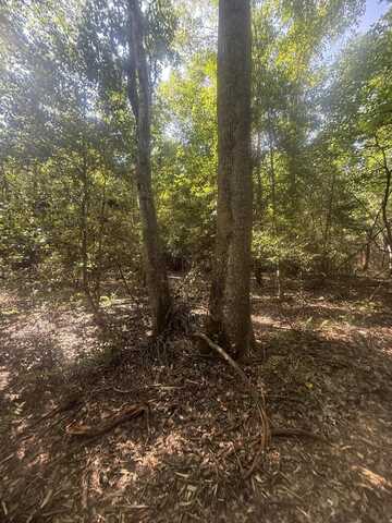 Hhf 6 Hickory Head Road, Westville, SC 29175