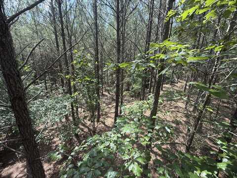 Hhf 5 Old Georgetown Road W, Westville, SC 29175