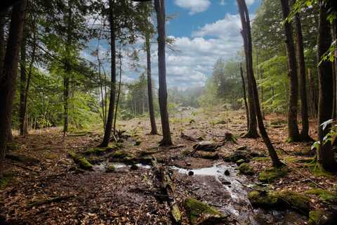 Lot 2 North Road, Bridgton, ME 04009