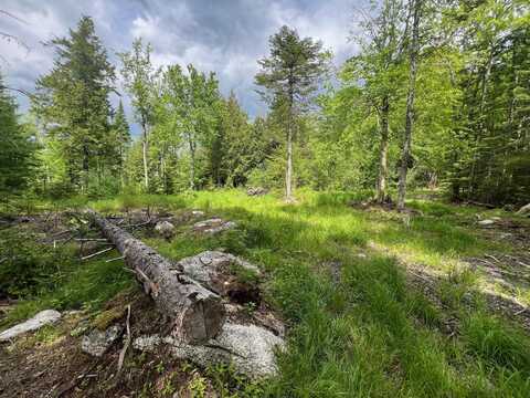 Tbd Marks Mountain Way, Dedham, ME 04429