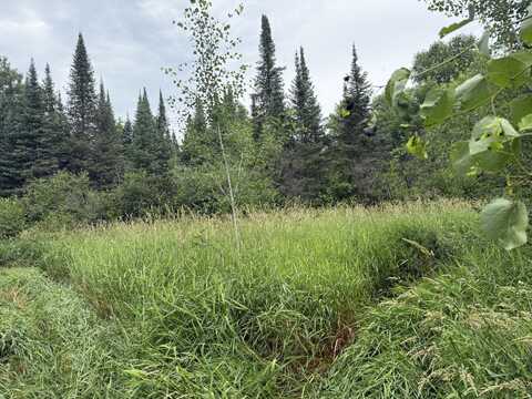 xxx Benson Rd, Alborn, MN 55702