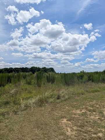 0 County Road 19, Headland, AL 36345