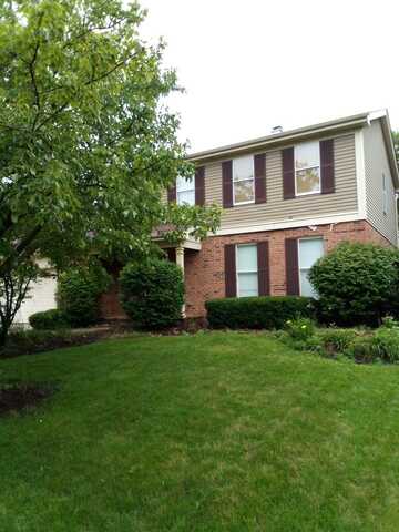 8221 Meadowwood Avenue, Woodridge, IL 60517