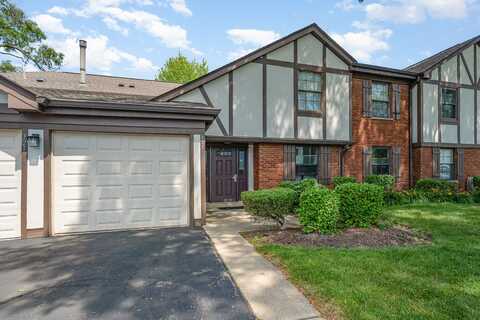 321 Woodbury Court, Schaumburg, IL 60193