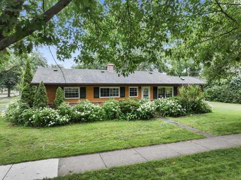1207 W Busse Avenue, Mount Prospect, IL 60056