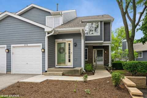 573 W Parkside Drive, Palatine, IL 60067