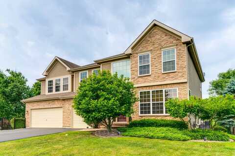 1174 Pine Tree Court, Lake Villa, IL 60046